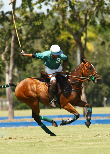 alex pacheco polo magazine Polo site polo 2013 polo time polo team polo online polo.com international polo club polo usa polo wellington florida. 2