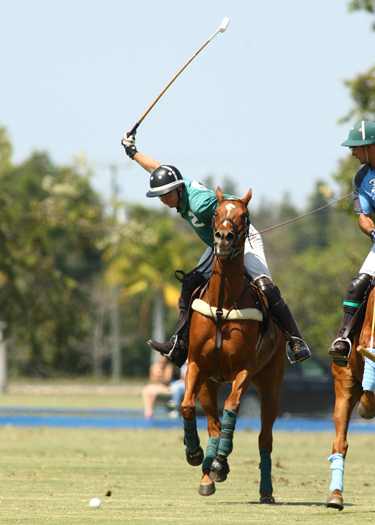 alex pacheco polo magazine Polo site polo 2013 polo time polo team polo online polo.com international polo club polo usa polo wellington florida. 3