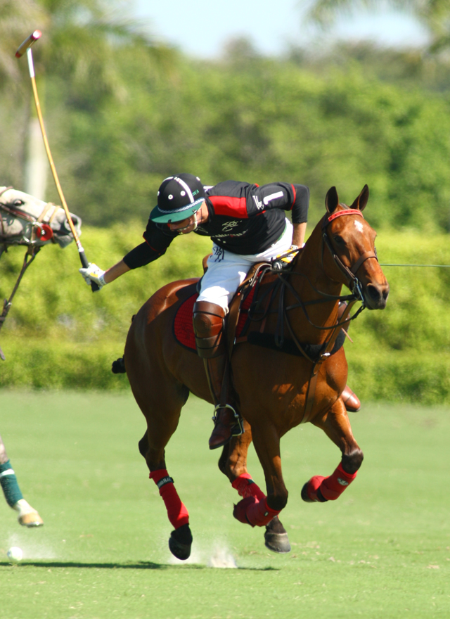 photos-gold-cup-audi-7-orchard-hill-5 4 polomagazine.jpg