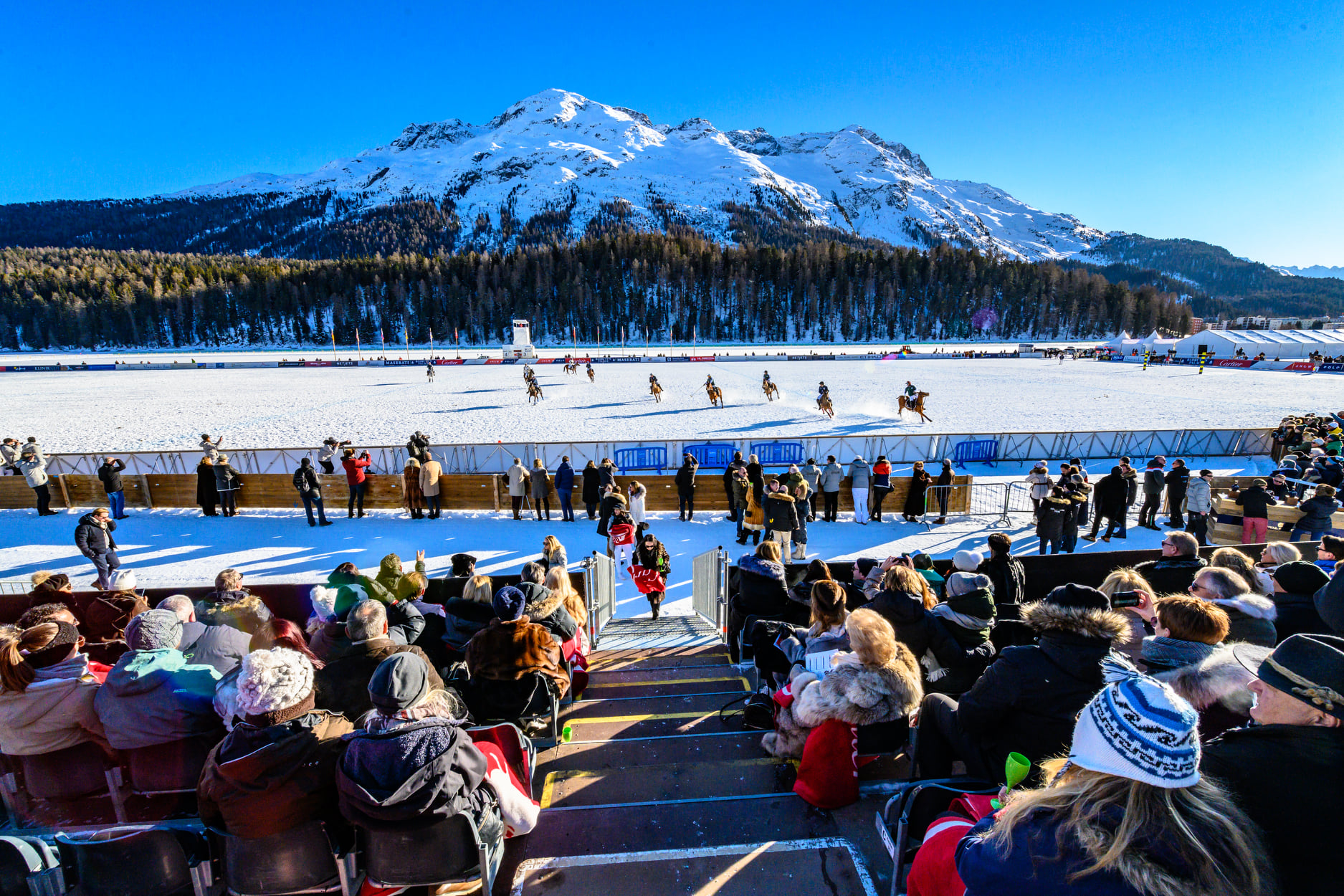 snowpolo2