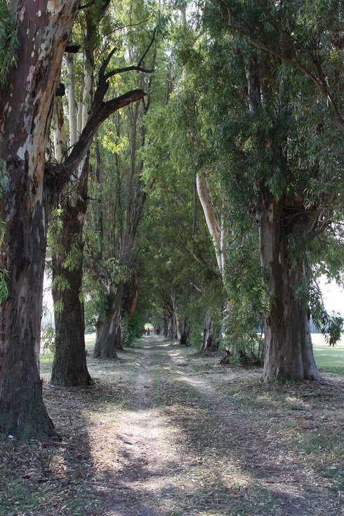 Escuela de Polo La Malterina