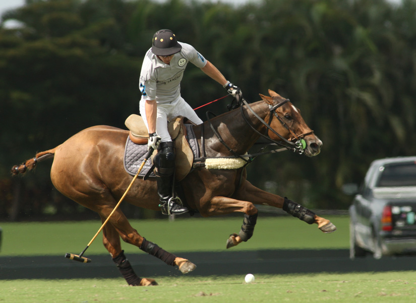 polomag pacheco photos machito 4